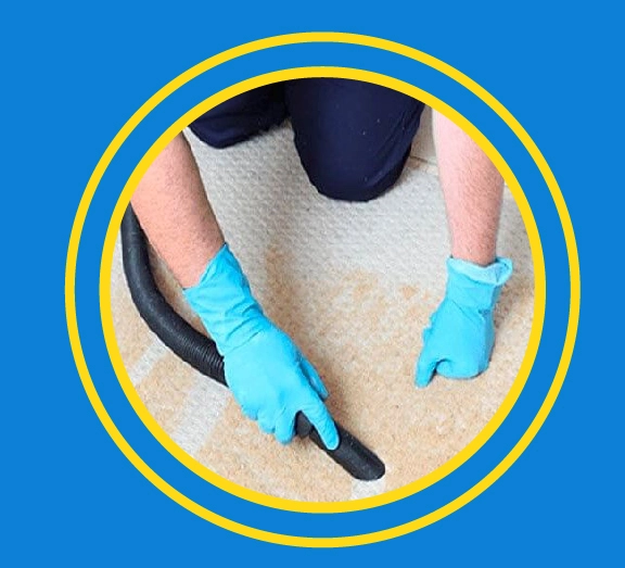 beneficios de limpieza de alfombra en Villa el Salvador