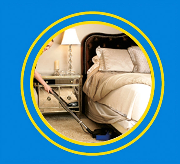 Limpieza de Alfombra